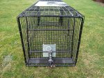 rabbit trap